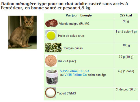 Menu pour chat sur cuisine-a-crocs.com