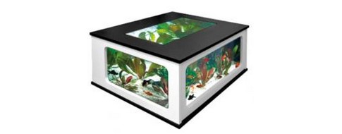 Table basse aquarium Atlantis