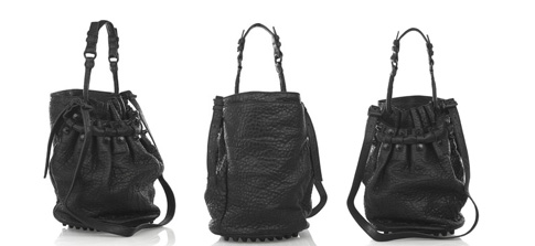 sac Diego Alexander Wang