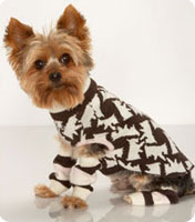 Vêtements pour chien Juicy Couture