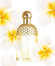 Parfum Tiaré Mimosa Aqua Allegoria