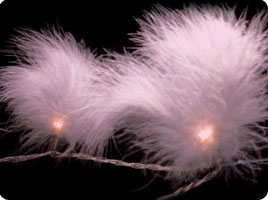 Guirlandes lumineuses plumes