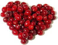 Cranberry