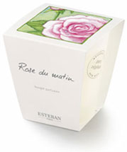 Bougie à la rose Esteban