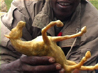 Sculpture bronze Abdoulaye Gandema