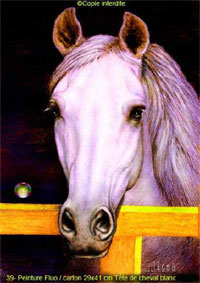 peinture fluo, cheval