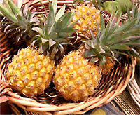 Ananas Victoria de la Réunion