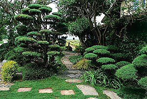 Jardin Japonais