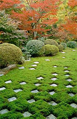 Jardin chinois 