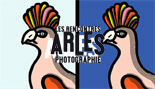 Arles 2008 expo photo