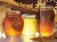 Le miel un produit naturel excellent pour la santé