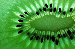 Le kiwi est le fruit qui présente le meilleur Daily Value DV