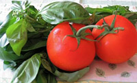 Tomates et basilic