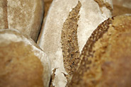 Pain de campagne